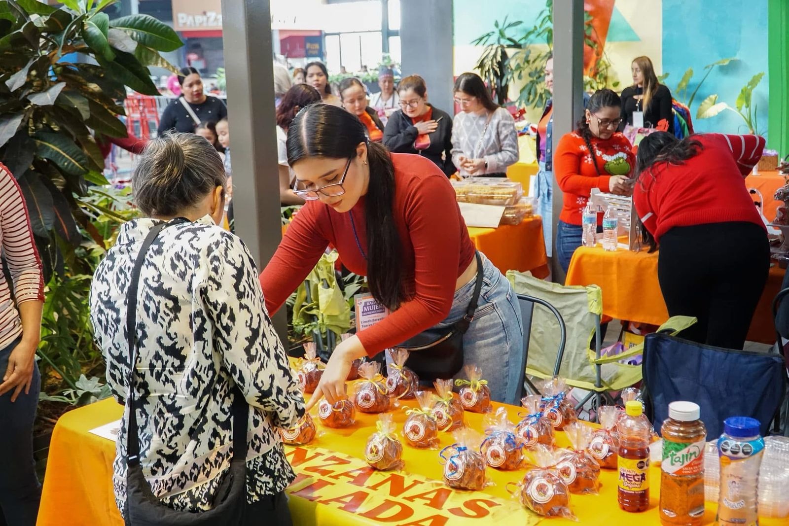 APOYOS MUJER EMPRENDEDORA